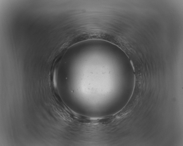 X0000073530916200608071143