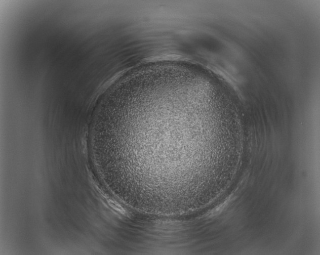 X0000073530921200608071143