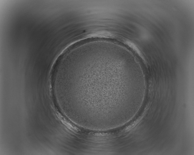 X0000073530923200608071143