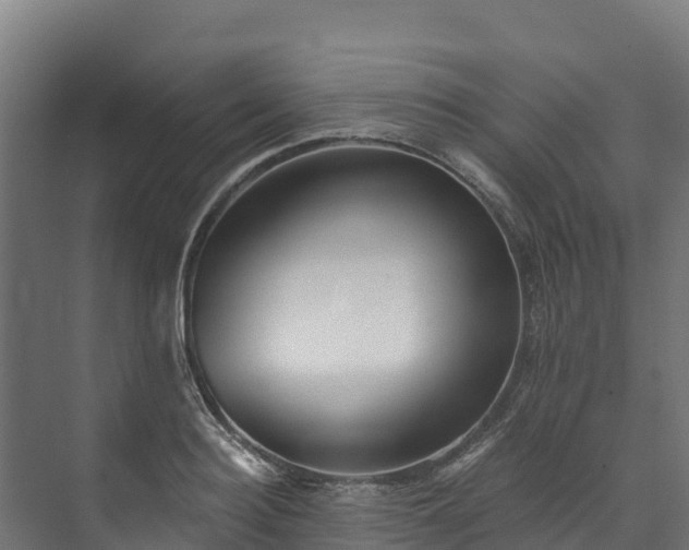X0000073530940200608071144