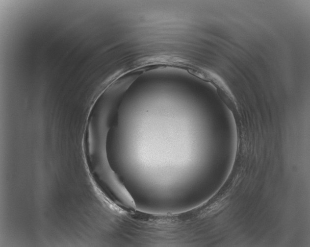 X0000073530946200608071144