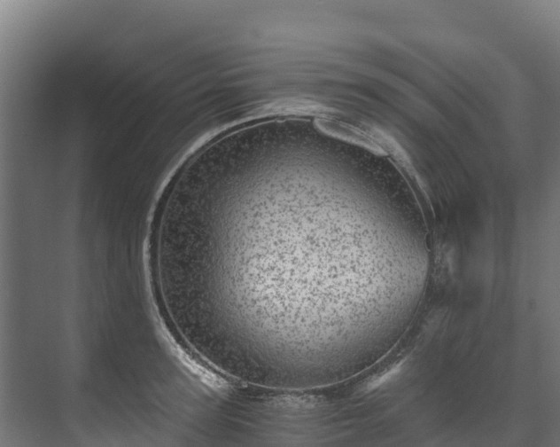 X0000073530947200608071144