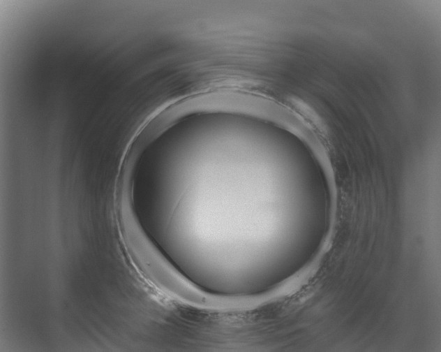 X0000073530948200608071144