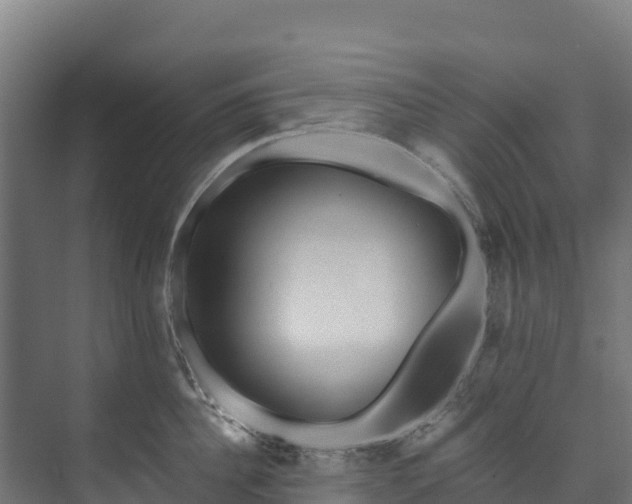X0000073530956200608071144
