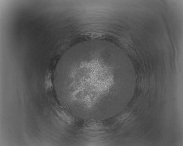 X0000073530962200608071143