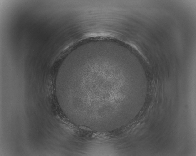 X0000073530967200608071143