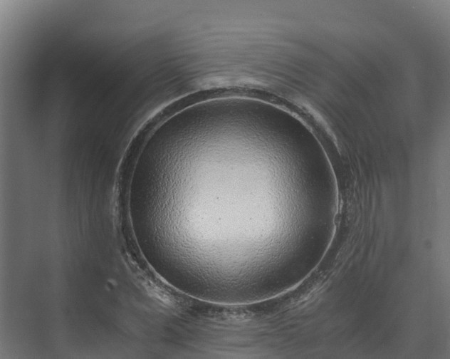 X0000073530975200608071143