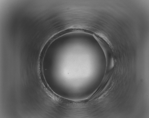 X0000073530976200608071143