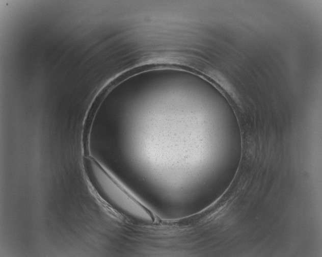 X0000073530980200608071143
