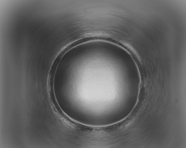 X0000073530983200608071143