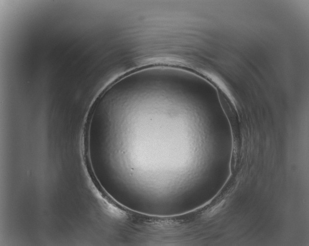 X0000073530999200608071143