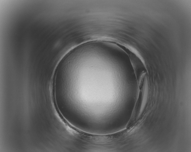 X0000073531007200608071143