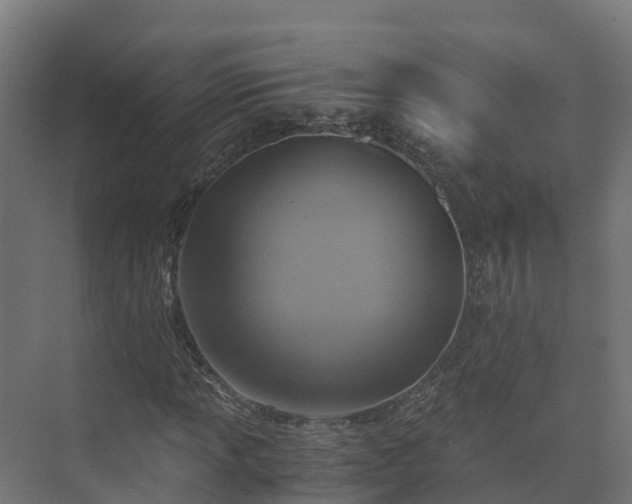 X0000073531013200608071142