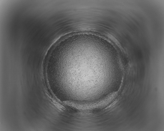 X0000073531023200608071142