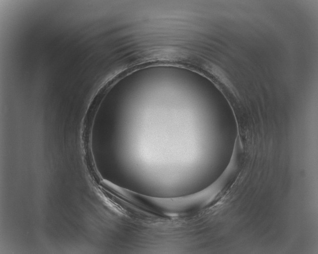 X0000073531026200608071142