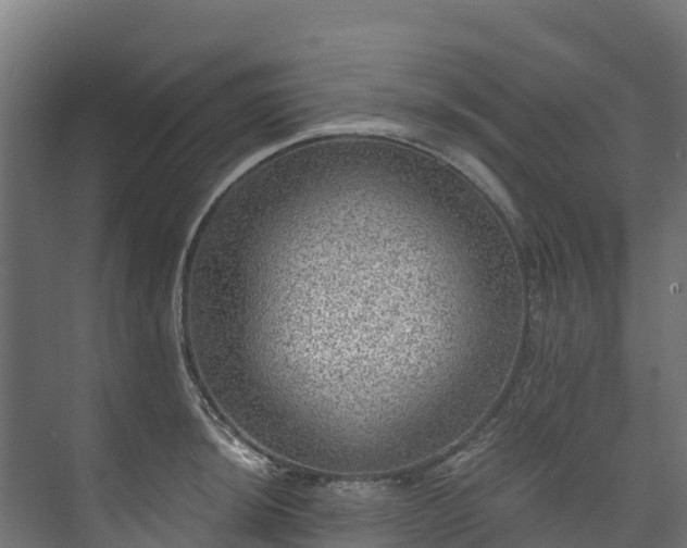 X0000073531044200608071142