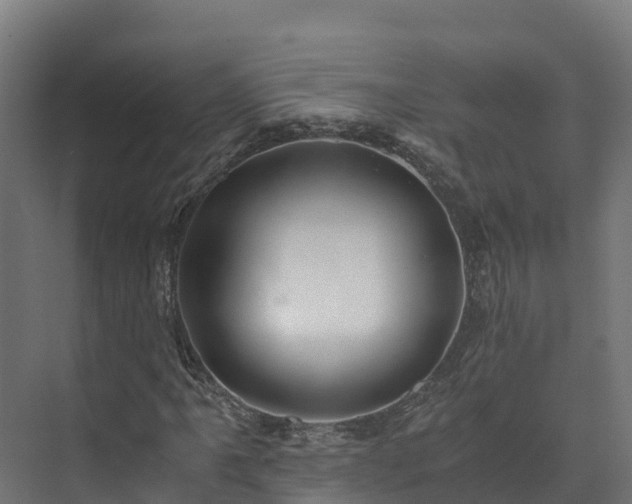 X0000073531061200608071142