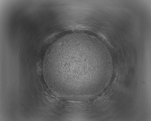X0000073531063200608071142