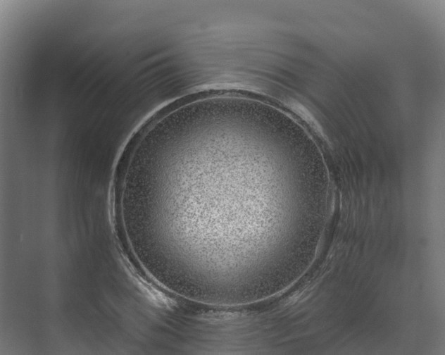 X0000073531076200608071141