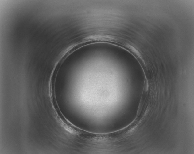 X0000073531082200608071141