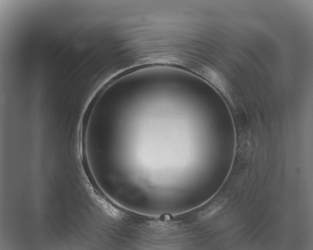 X0000073531132200608071141