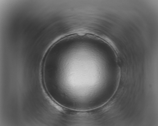 X0000073531142200608071141