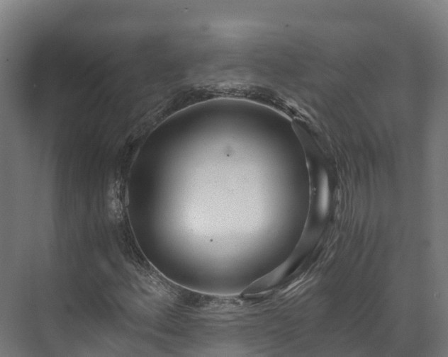 X0000073531156200608071140