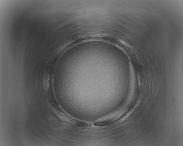 X0000073531161200608071140