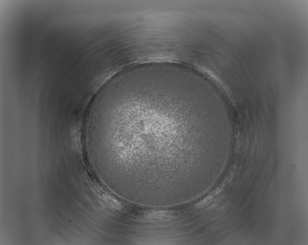 X0000073531162200608071140