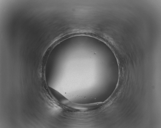 X0000073531165200608071140
