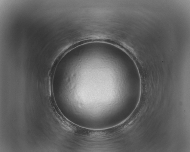 X0000073531171200608071140