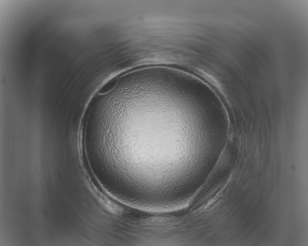 X0000073531179200608071140