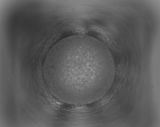 X0000073531201200608071138