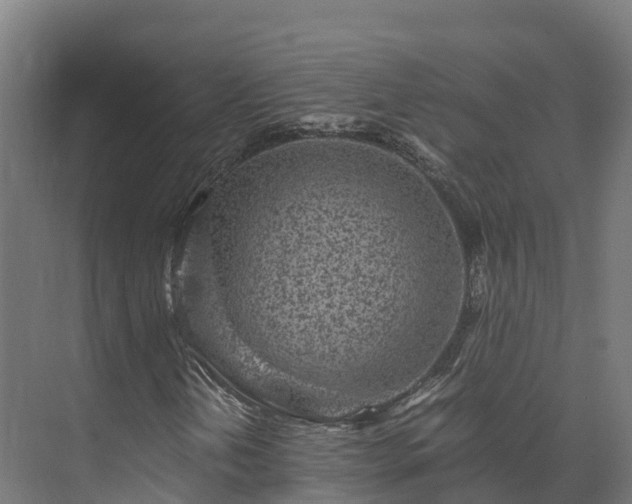 X0000073531202200608071138