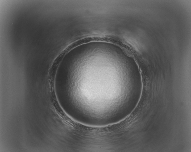 X0000073531208200608071139