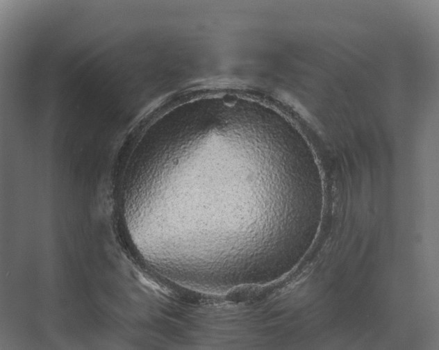 X0000073531213200608071139
