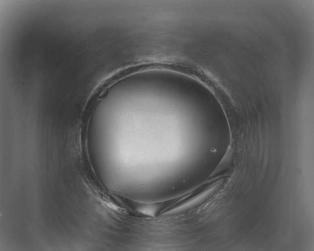 X0000073531214200608071139