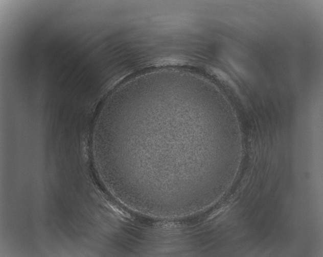 X0000073531217200608071139