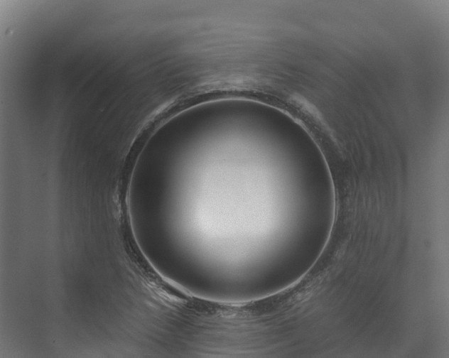 X0000073531218200608071139