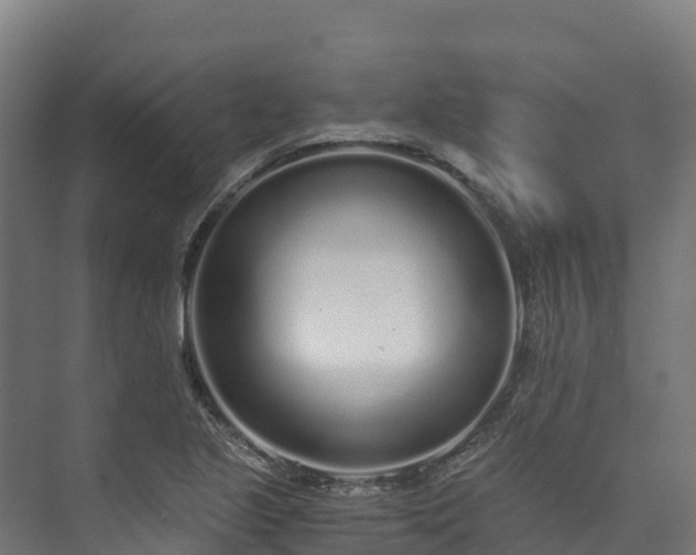 X0000073531221200608071139