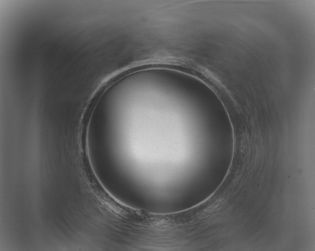 X0000073531222200608071139