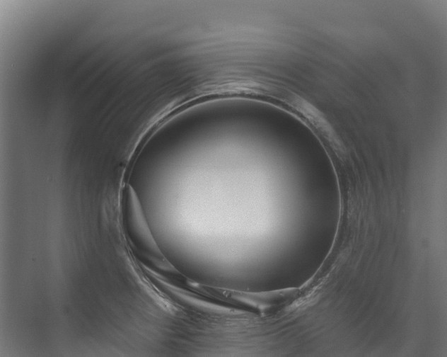 X0000073531234200608071139