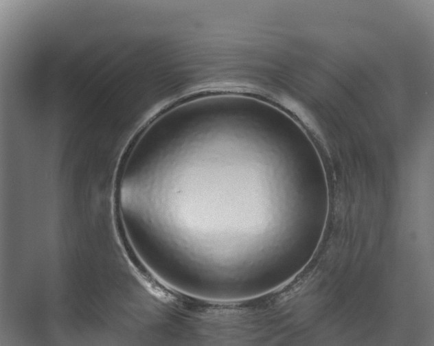X0000073531237200608071139