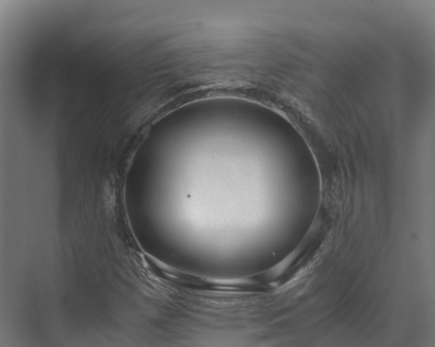 X0000073531257200608071138