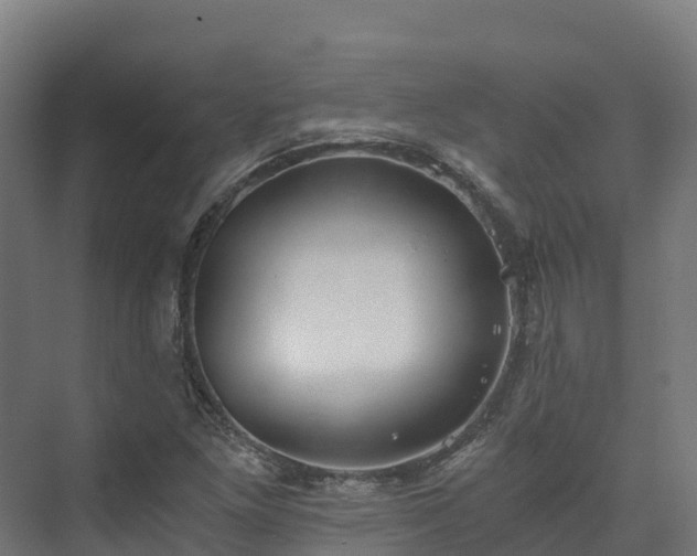 X0000073531261200608071138