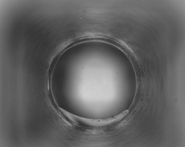X0000073531269200608071138