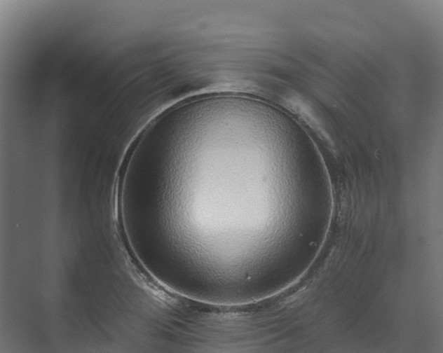 X0000073531276200608071138