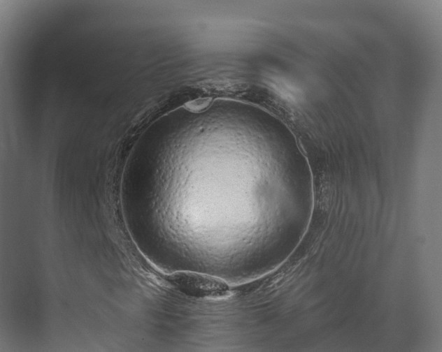 X0000073531297200608071137