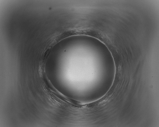 X0000073531300200608071137