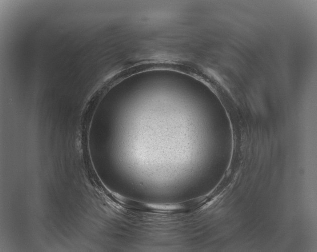 X0000073531307200608071137